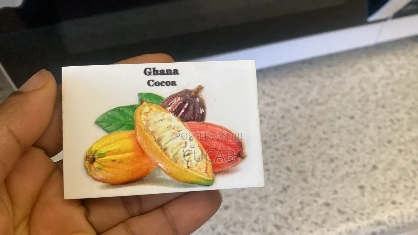 Fridge Magnets