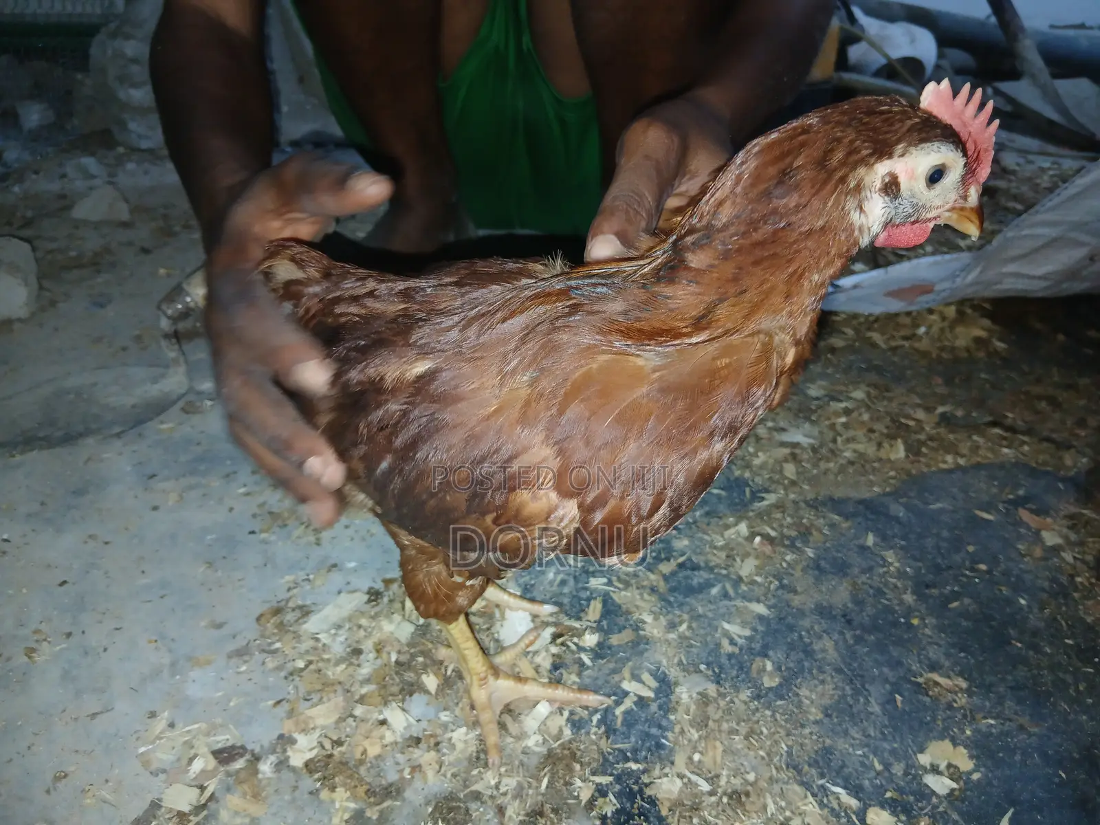 Andfarmslyf