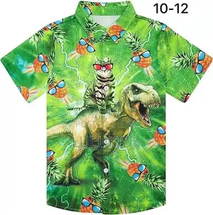 Boys Summer Shirt