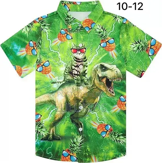 Boys Summer Shirt