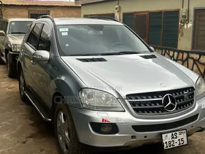 Mercedes-Benz M Class 2010 Silver