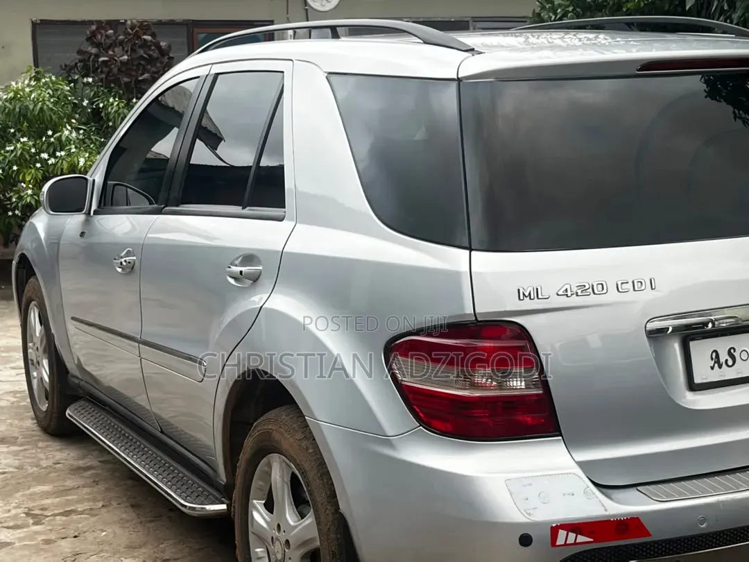 Mercedes-Benz M Class 2010 Silver