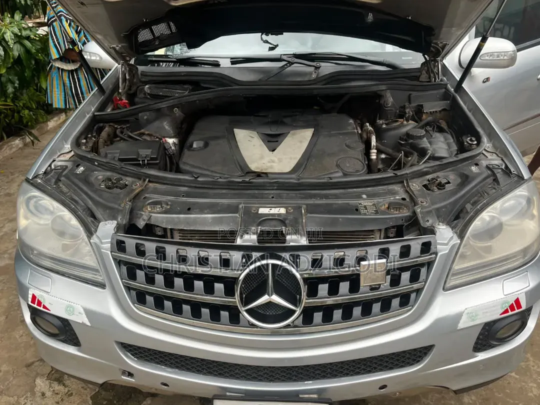 Mercedes-Benz M Class 2010 Silver
