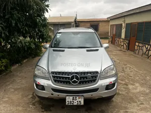 Mercedes-Benz M Class 2010 Silver