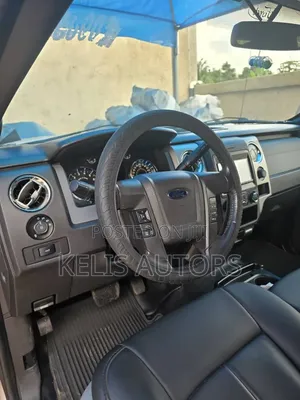 Ford F-150 2015 Silver