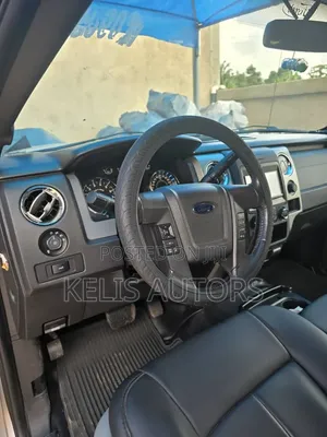 Ford F-150 2015 Silver