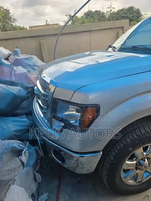 Ford F-150 2015 Silver