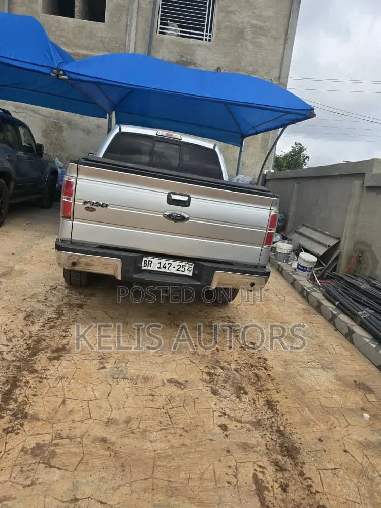 Ford F-150 2015 Silver