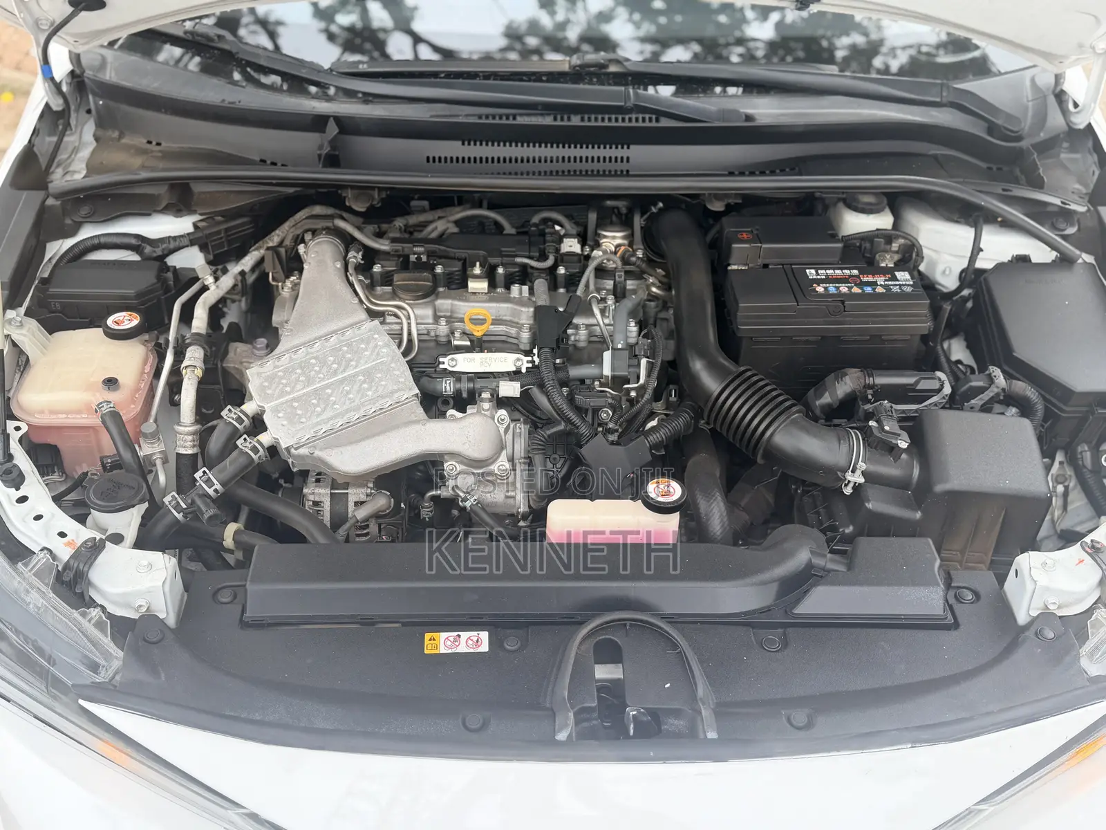 Toyota Corolla 2020 White