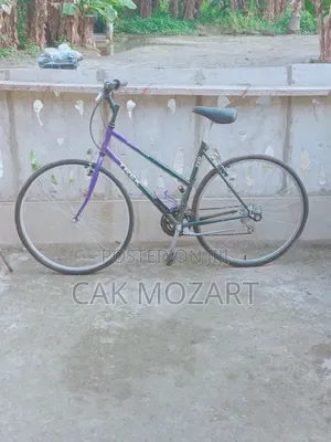 BICYCLE S - BMX and Traditional Bikes