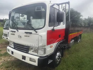 Hyundai Gold. Double Axle. New Arrivals