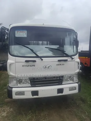 Hyundai Gold. Double Axle. New Arrivals