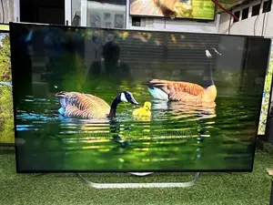 55” LG Smart TV From Germany Going Out for Cool Price