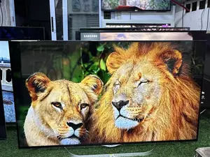 55” LG Smart TV From Germany Going Out for Cool Price