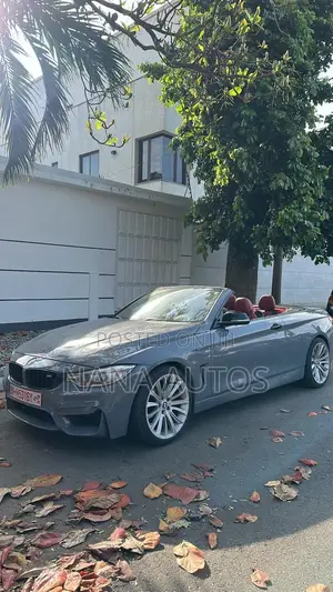 BMW 4 Series 2018 Gray