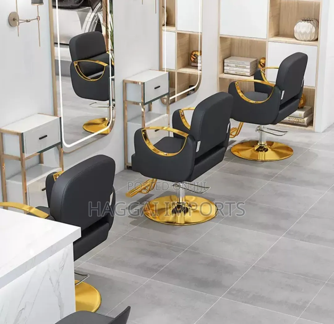 Salon Chair