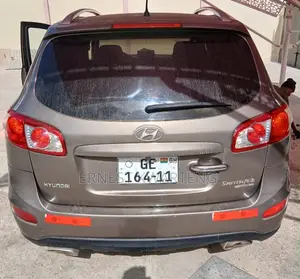 Hyundai Santa Fe 2010 Gray