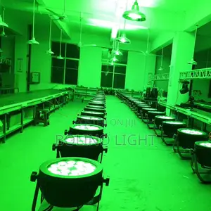 Outdoor LED Par Light