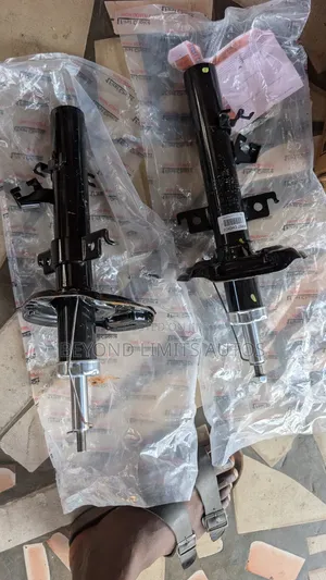 Nissan Rogue 2015,2016,2017,2018,2019,2020 Front Shock Absorber