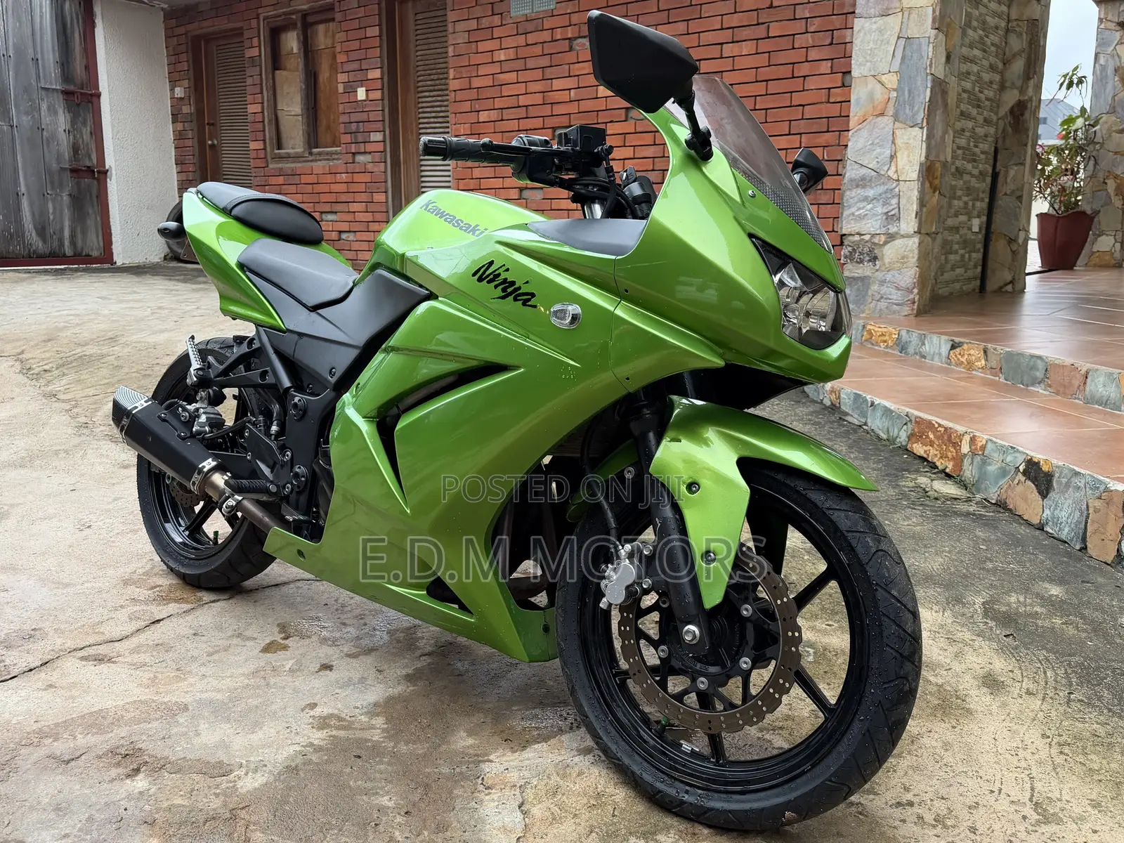 Kawasaki Ninja 300 2014 Green