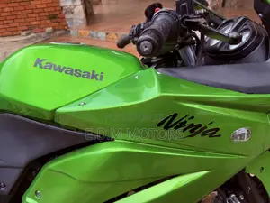 Kawasaki Ninja 300 2014 Green
