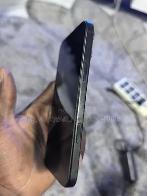 Apple iPhone 16 Pro Max 256 GB Black