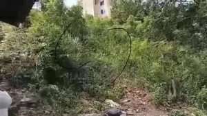 Half Plot of Land for Sale