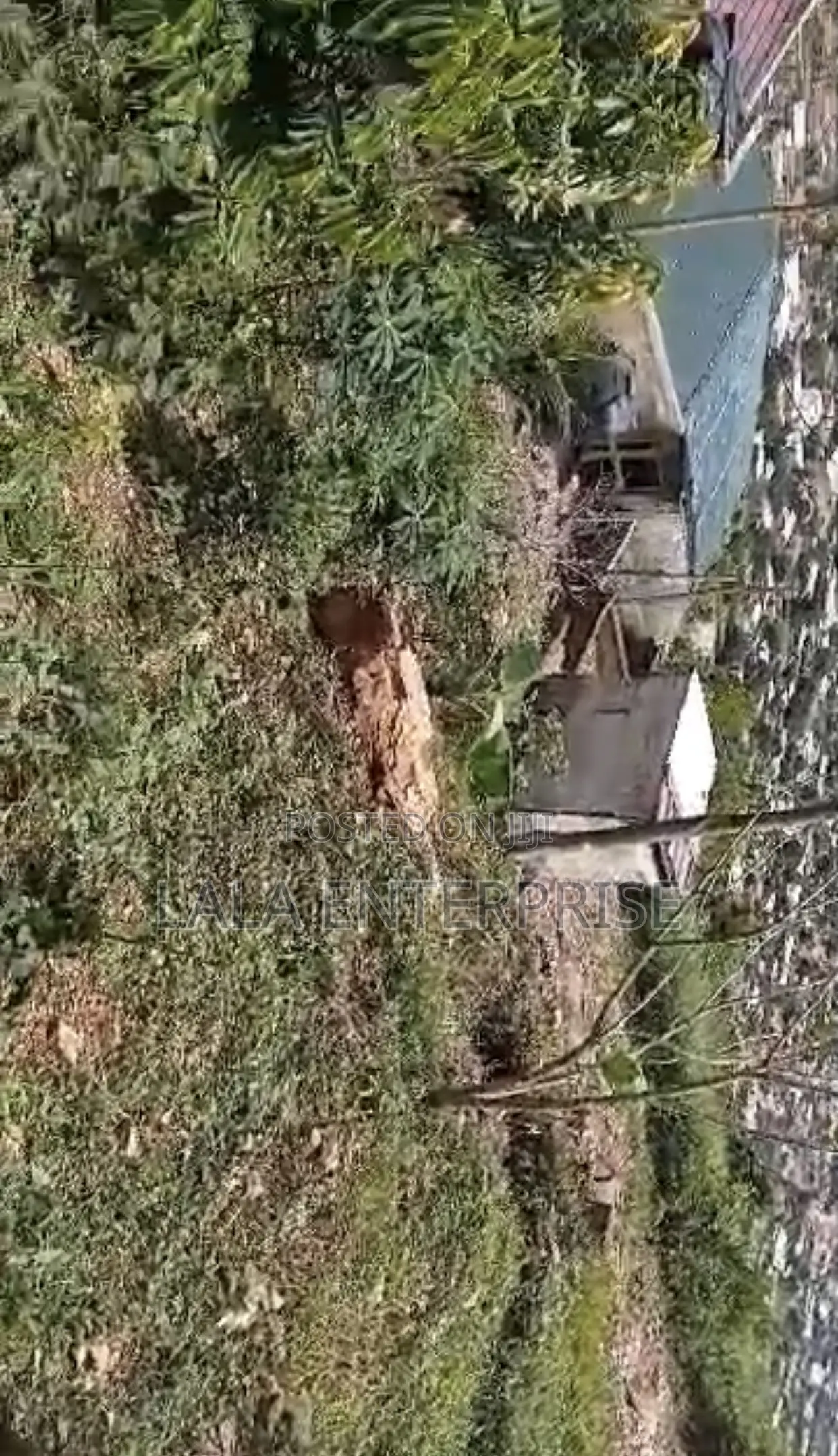 Half Plot of Land for Sale