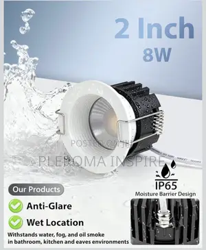 Ceiling Light