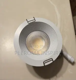 Ceiling Light