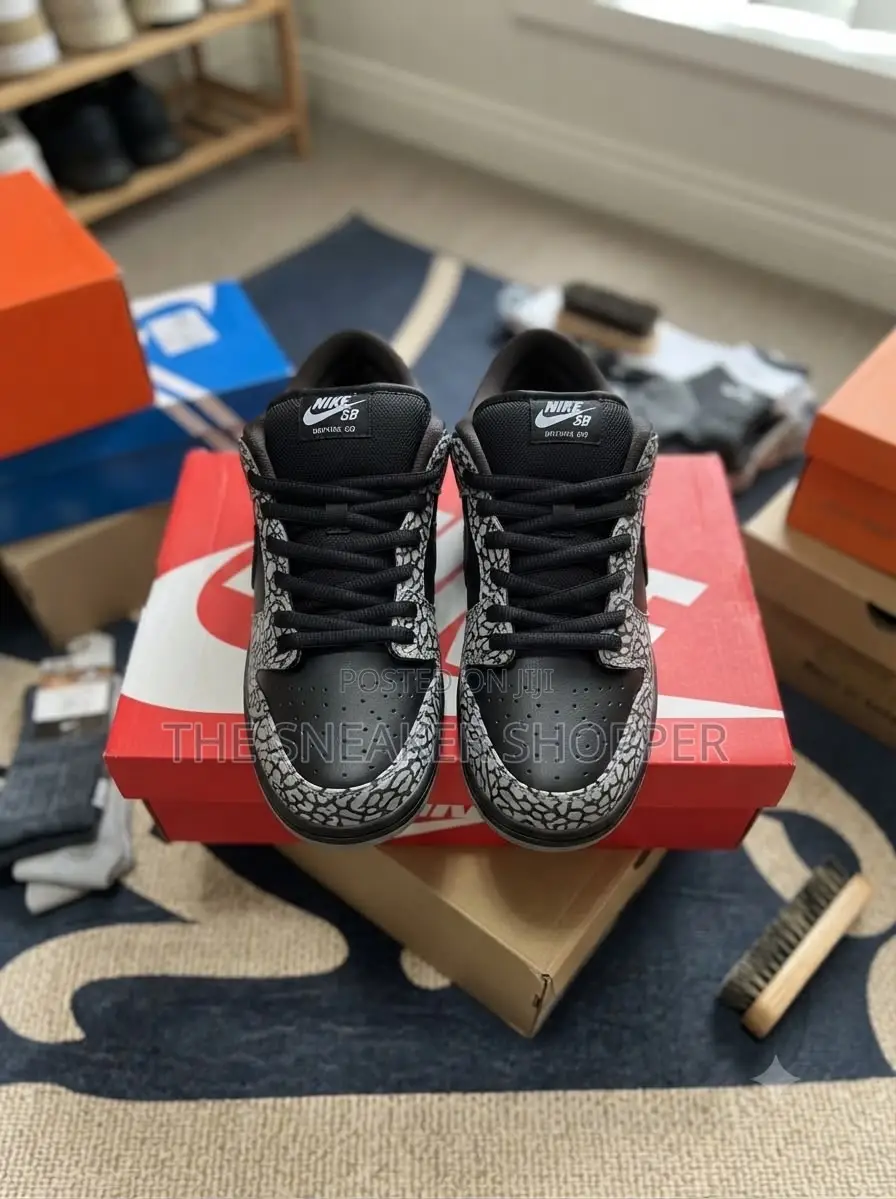 Nike Sb Ash and Black Sneaker