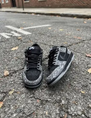 Nike Sb Ash and Black Sneaker