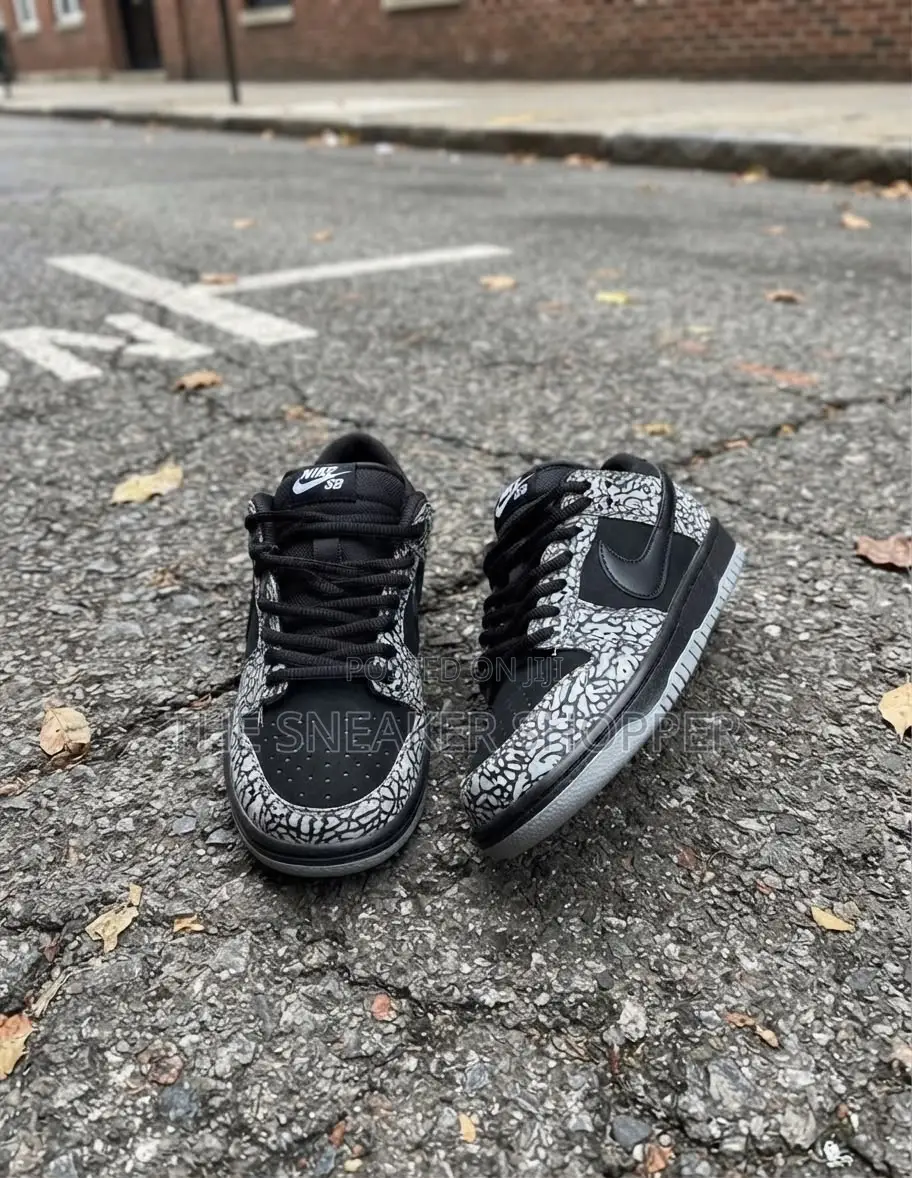 Nike Sb Ash and Black Sneaker