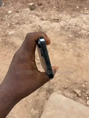 Apple iPhone 12 Pro Max 256 GB Black