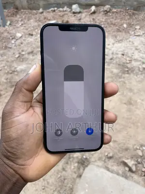 Apple iPhone 12 Pro Max 256 GB Black