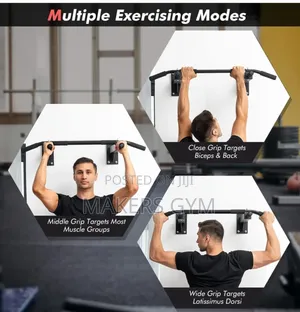 Wall Mounted Pull Up Bar Chin Up (Black?