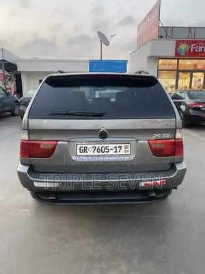 BMW X5 3.0i Sports Activity 2006 Gray