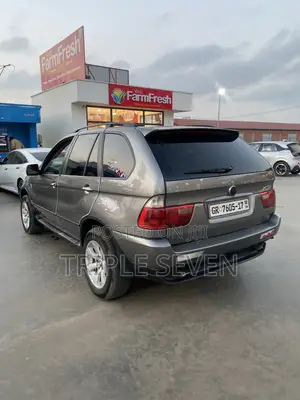 BMW X5 3.0i Sports Activity 2006 Gray