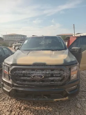 F150 21 Model Windscreen