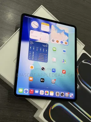 Apple iPad Pro 13 (2024) 256 GB Gray