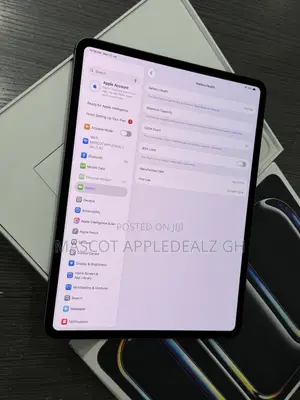 Apple iPad Pro 13 (2024) 256 GB Gray