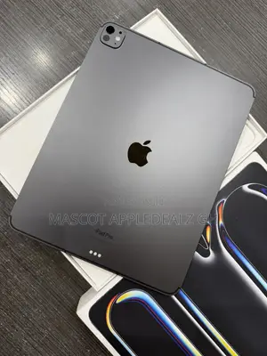 Apple iPad Pro 13 (2024) 256 GB Gray