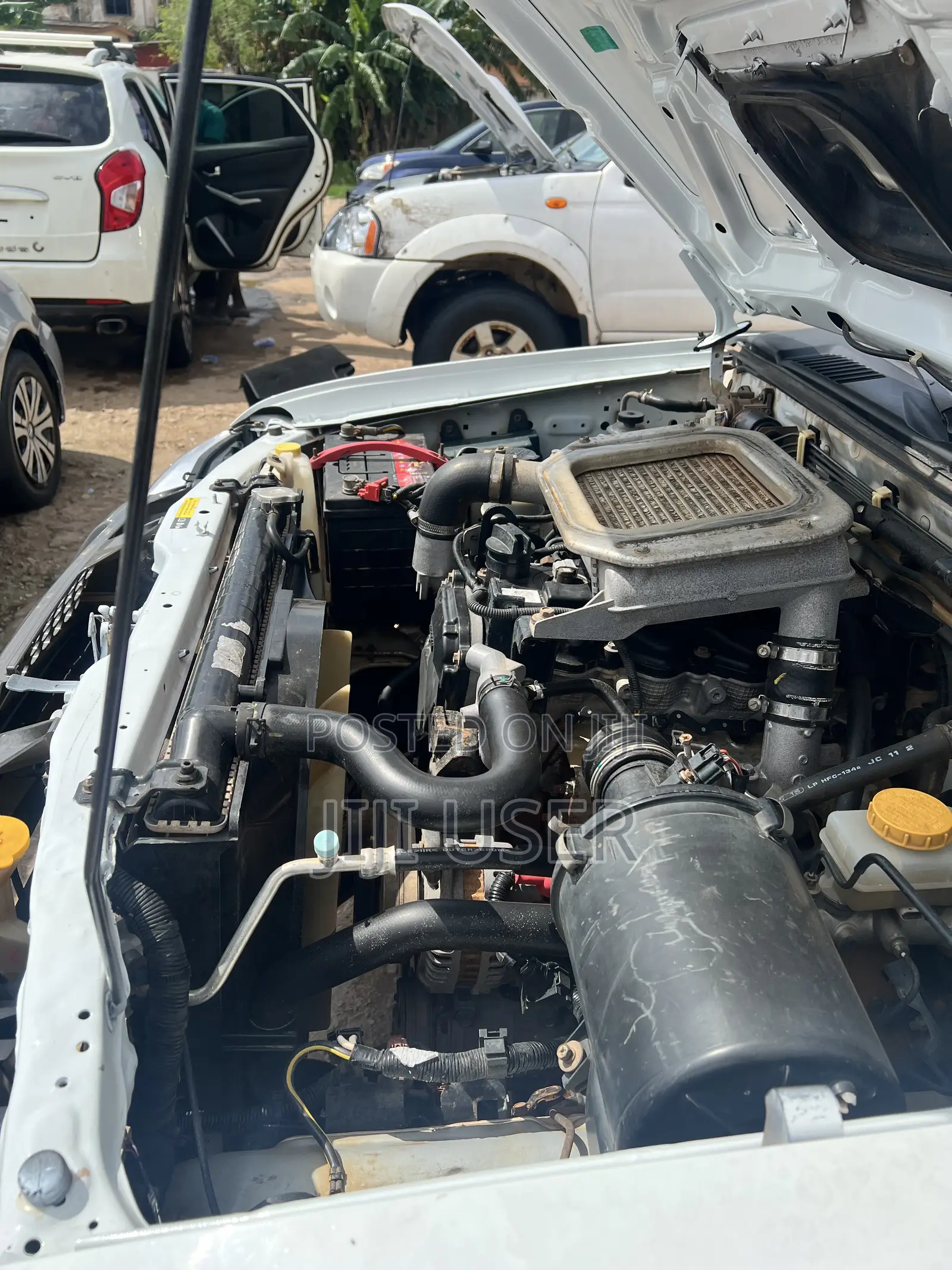 Nissan Hardbody 2020 White