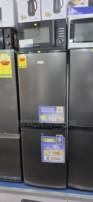Best Durability 142L Nasco Brand Bottom Freezer for Sale