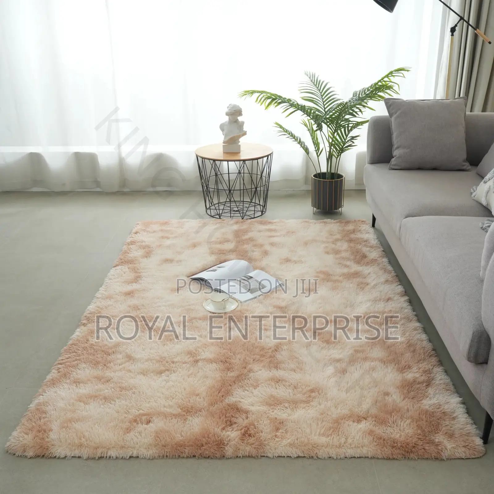 CloudWalk Heavy Plush Carpet ( 200/300cm )