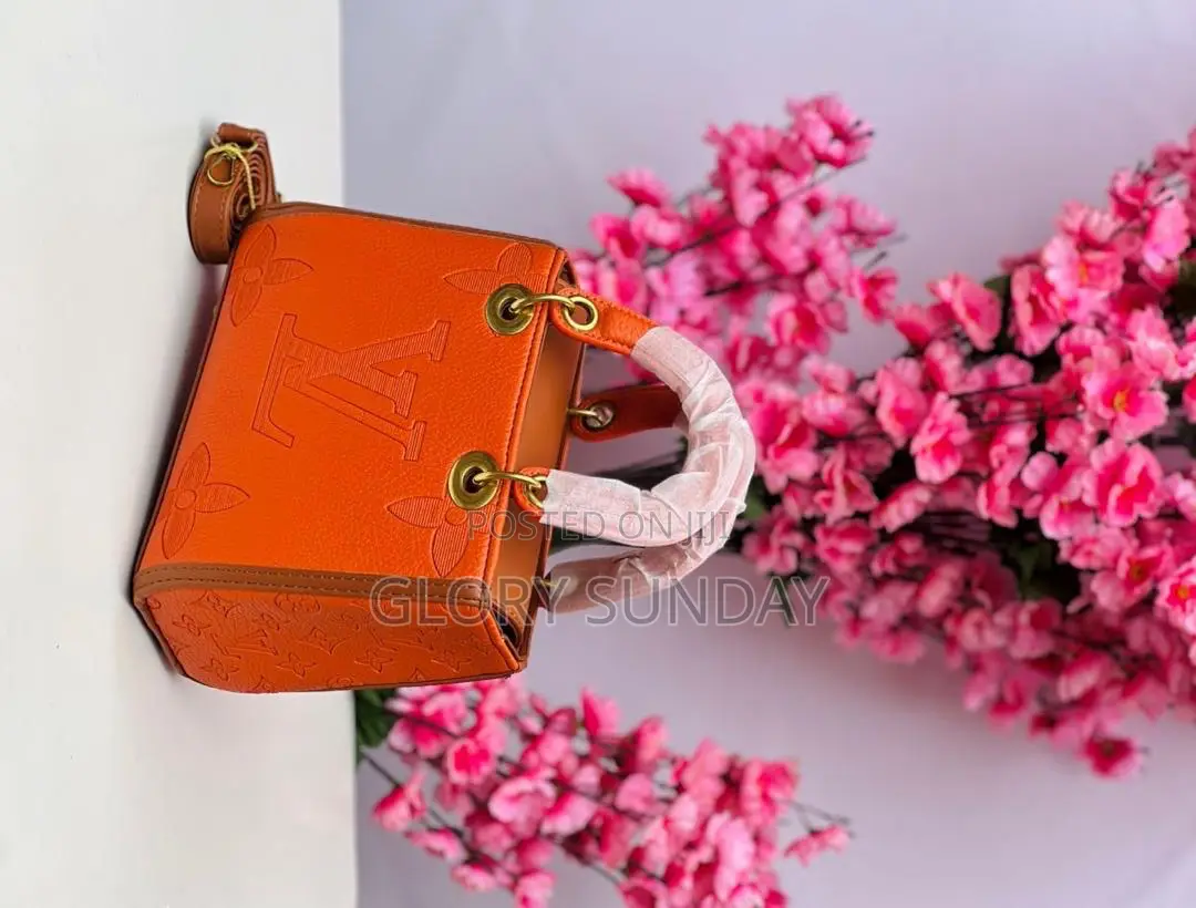 Ladies Beautiful Handbags