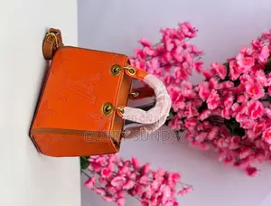 Ladies Beautiful Handbags