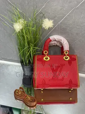 Ladies Beautiful Handbags