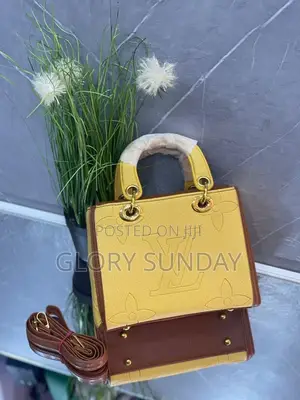 Ladies Beautiful Handbags