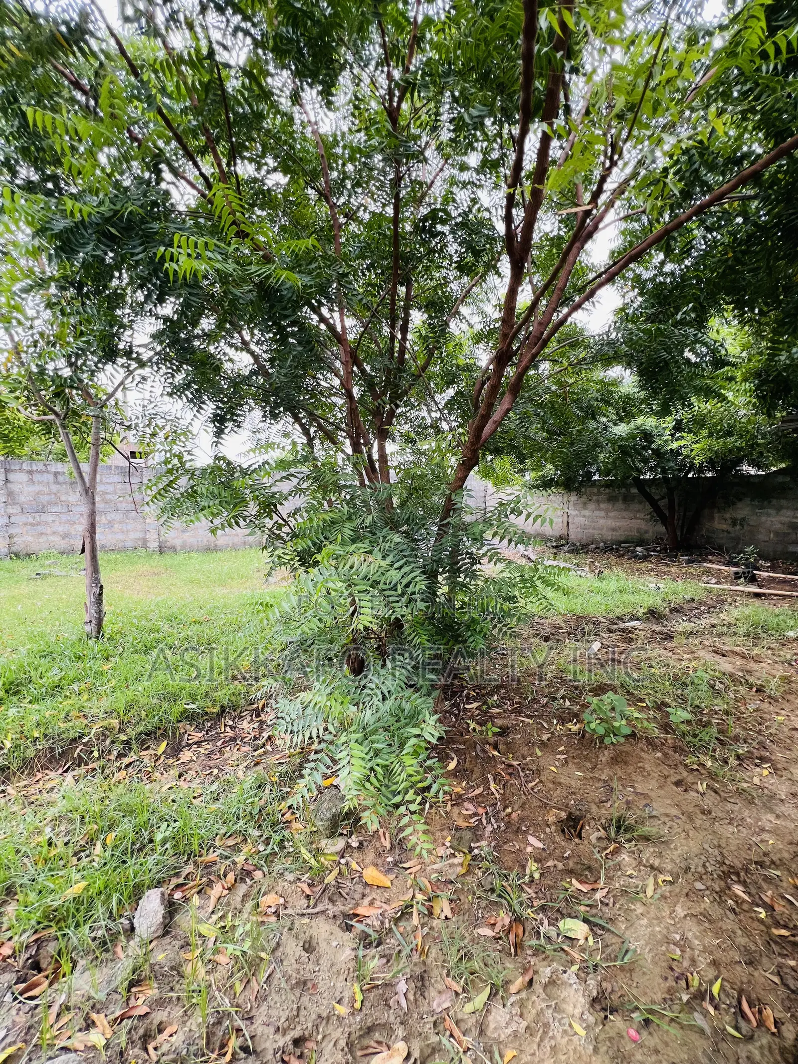 Half Plot of Land Selling in Klagon, Tema West Prime